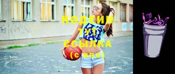 мдпв Карпинск