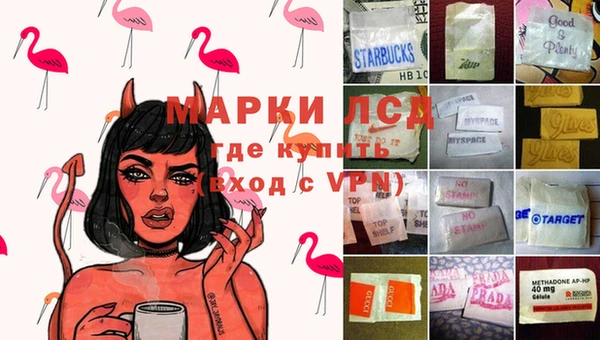СК Каменка
