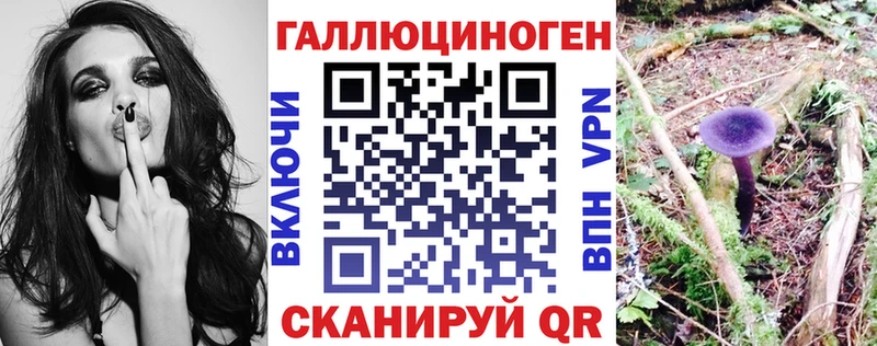 дарк нет как зайти  Кремёнки  Галлюциногенные грибы Psilocybine cubensis 